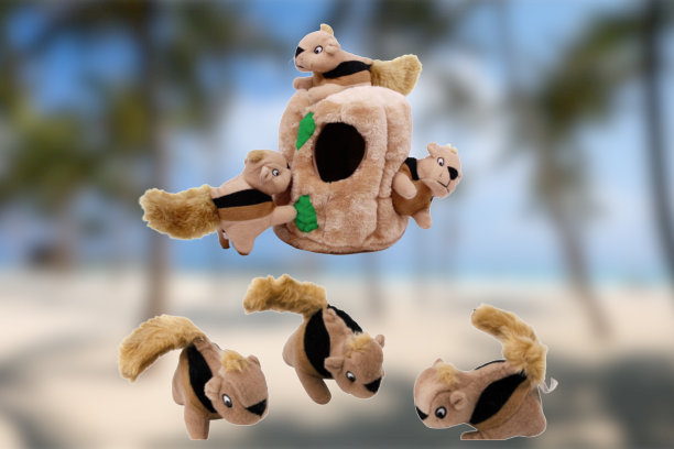 Pet Products of All Time