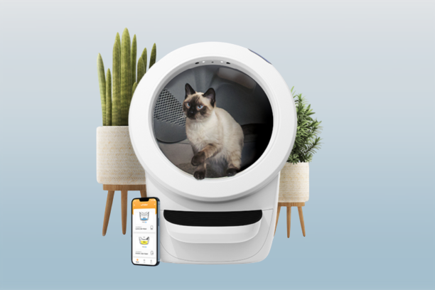 Pet Products of All Time