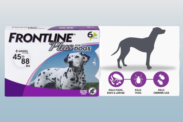 Pet Products of All Time
