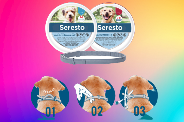 Pet Products of All Time