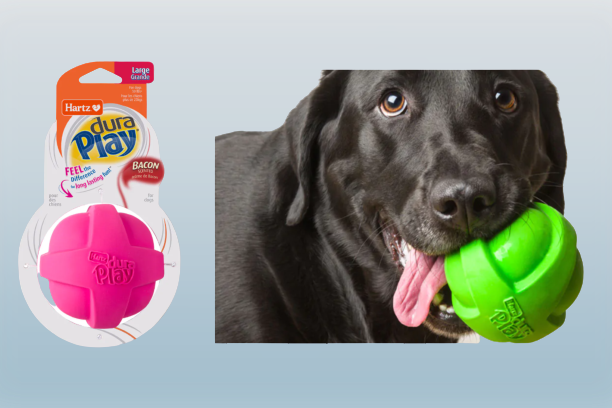 Pet Products of All Time
