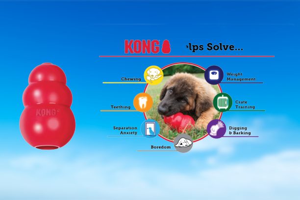 Pet Products of All Time