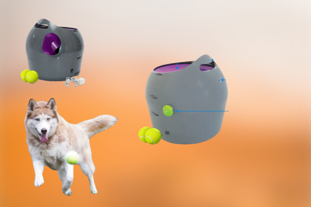 Pet Products of All Time