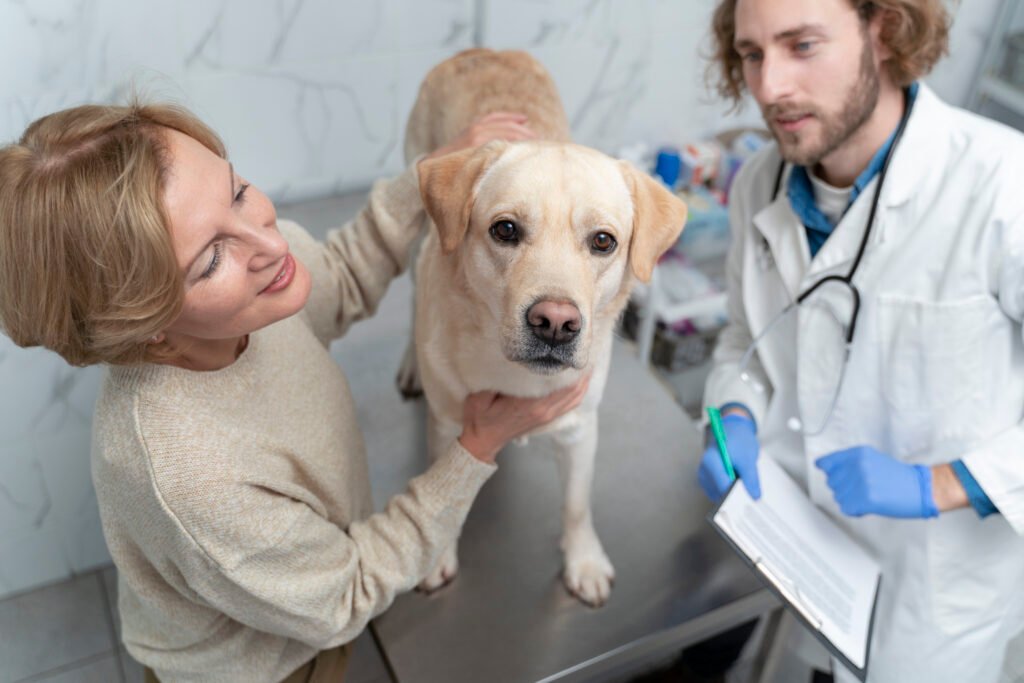 Regular Veterinarian Care