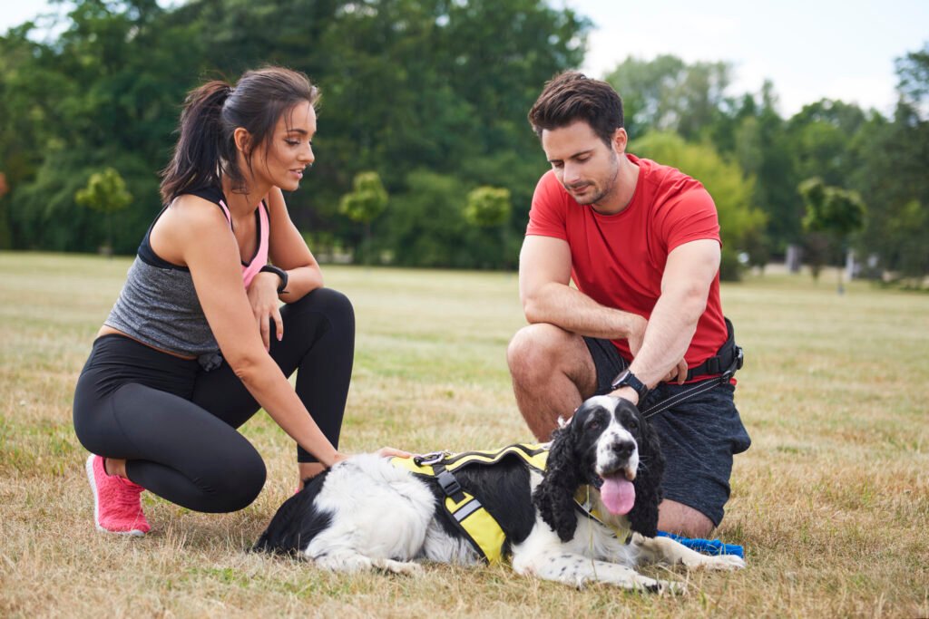 Regular Exercise for Your Beloved Pet