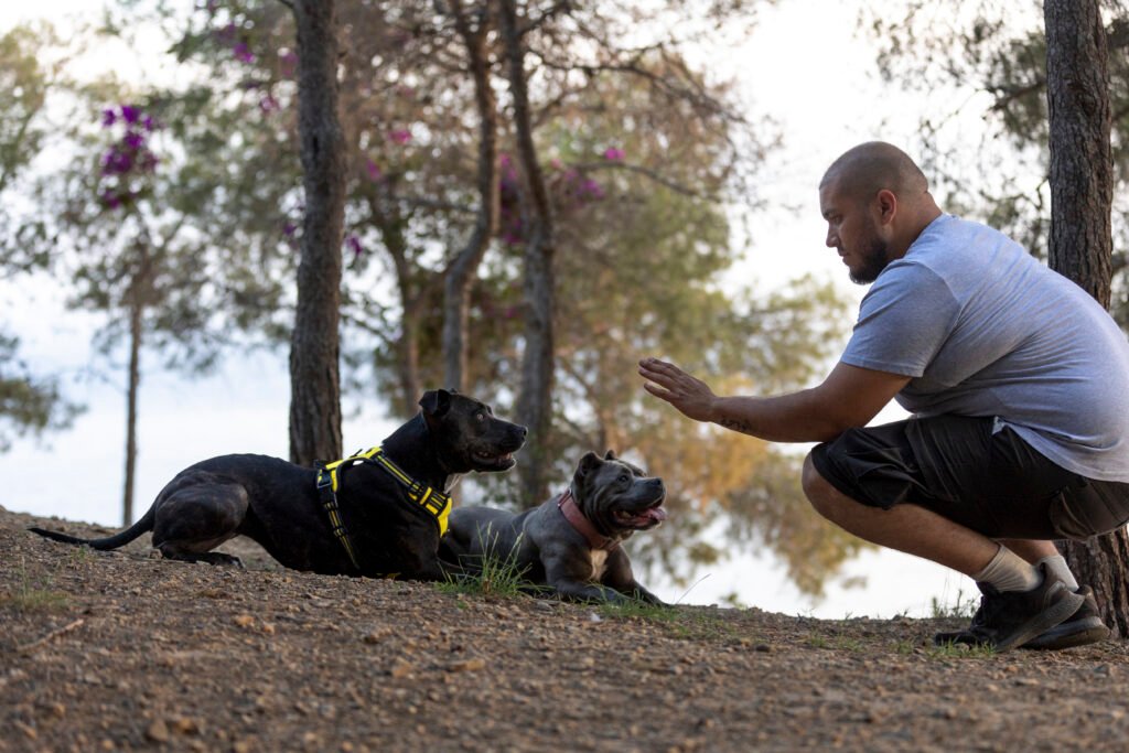 Strong Bond with Your Pet