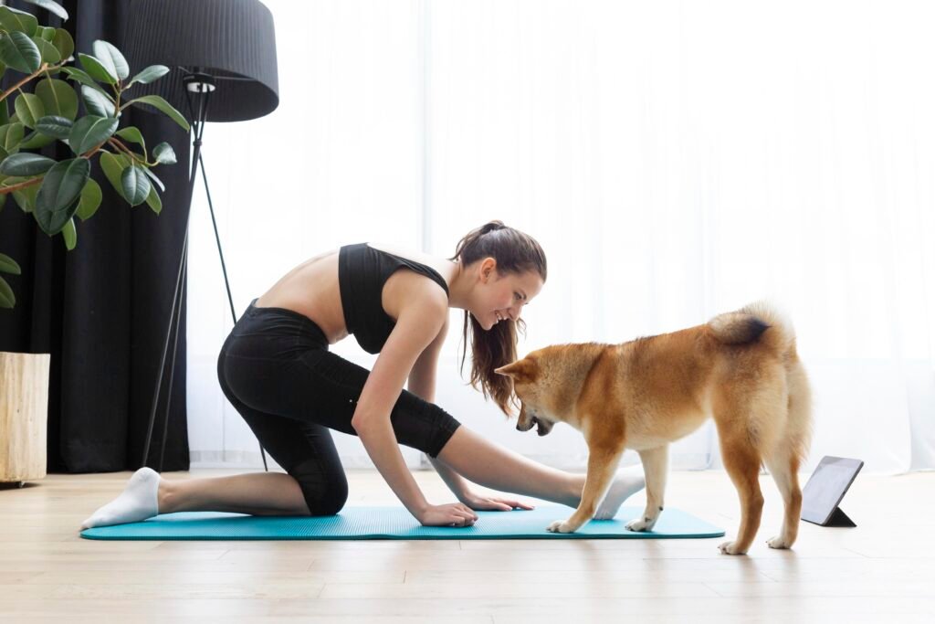 Regular Exercise for Your Beloved Pet